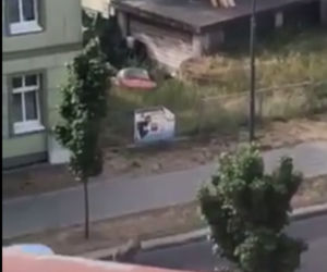 Zombie zabija już w Polsce