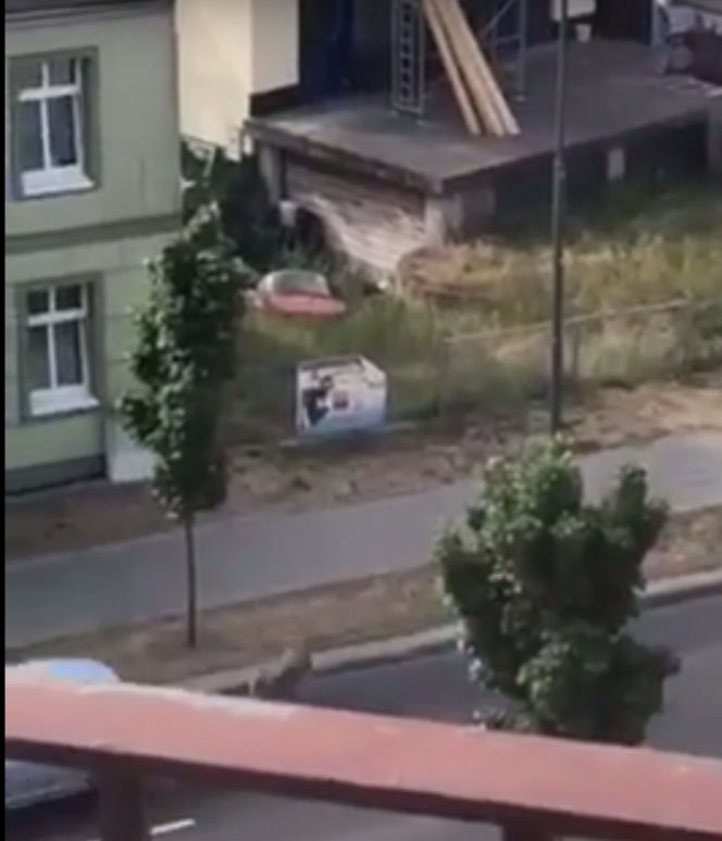 Zombie zabija już w Polsce