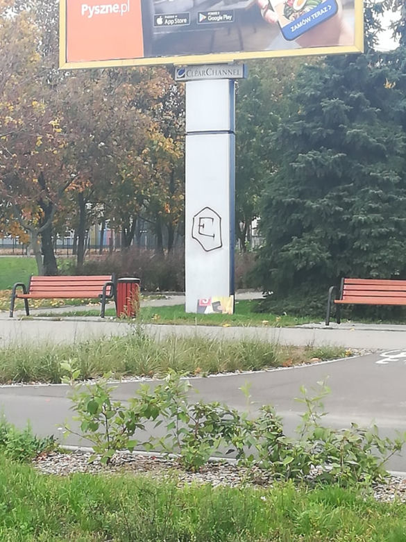 W Toruniu wiszą nielegalne plakaty wyborcze. 31 decyzji karnych!