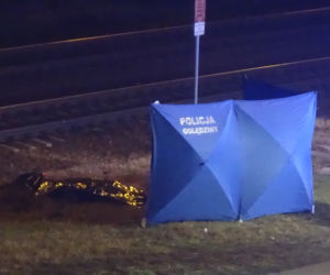 Pociąg zmiażdżył człowieka na torach