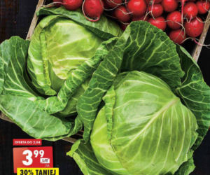 Mega promocje w Biedronce  