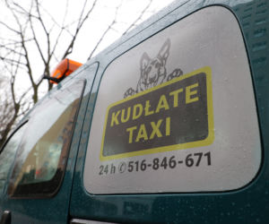 Kudłate Taxi. Jedyna taka taksówka w Warszawie