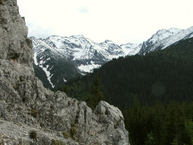 Gęsia Szyja, Tatry