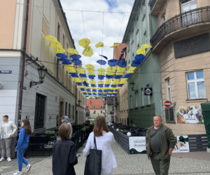 Daisy Days w Pszczynie przyciągnęły tłumy turystów