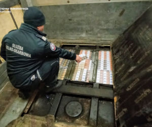 Pies-celnik stanął na wysokości zadania