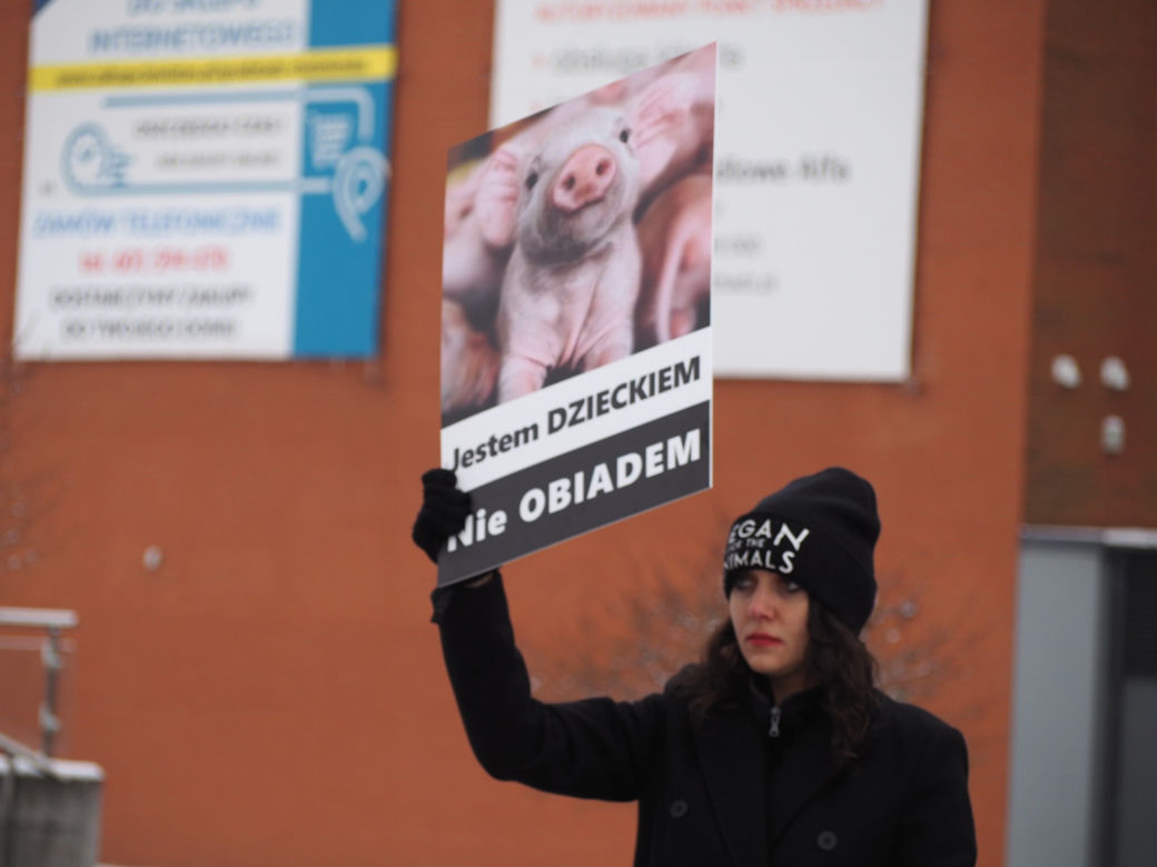 W Grudziądzu manifestowali aktywiści na rzecz zwierząt