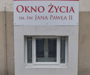Miss noworodków na razie nie jest do wzięcia.  Jej zdjęcia TYLKO U NAS