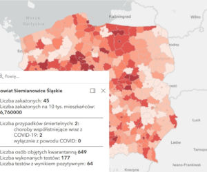Koronawirus w województwie śląskim. Tak wygląda sytuacja w poszczególnych powiatach [RAPORT, 19 MARCA]