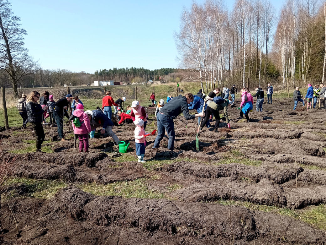 Akcja "Grudziądzanie sadzą las"!