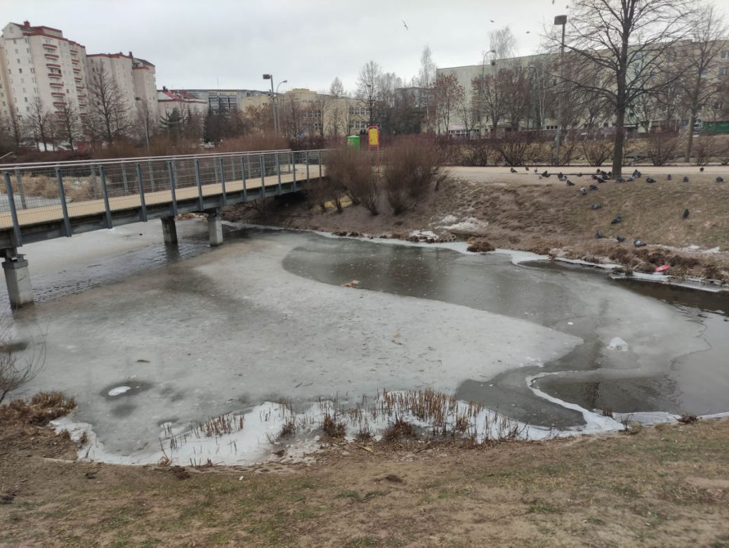 Skrajna nieodpowiedzialność w parku nad Balatonem