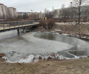 Skrajna nieodpowiedzialność w parku nad Balatonem