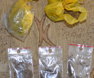 19-letni diler w rękach policji