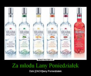 Lany Poniedziałek demotywatory