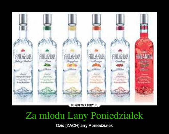 Lany Poniedziałek demotywatory