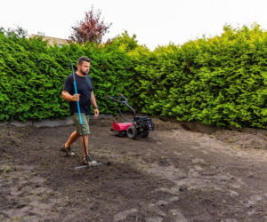 Nowoczesna glebogryzarka ułatwia pracę w ogrodzie na wiosnę