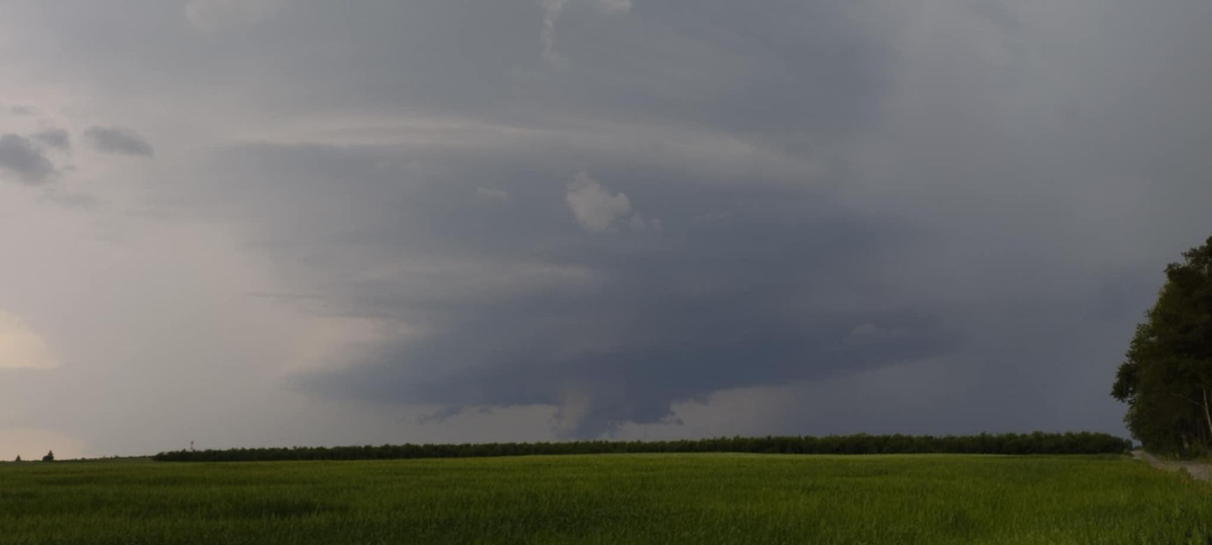 Potężne burze nad Polską. Drzewa spadały na samochody, setki interwencji straży pożarnej 