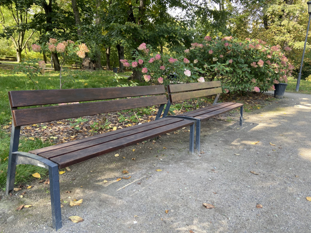 Jesień w Ogrodzie Krasińskich
