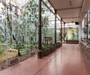 Zabytkowa ptaszarnia we wrocławskim zoo już otwarta