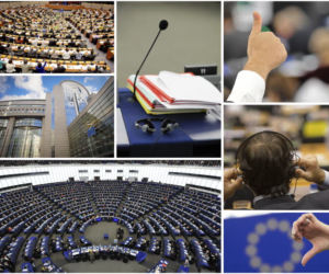 Wybory do Parlamentu Europejskiego (3)
