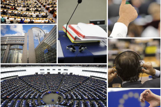 Wybory do Parlamentu Europejskiego (3)
