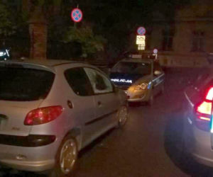 Zziębnięty piesek znaleziony w samochodzie w centrum Wrocławia