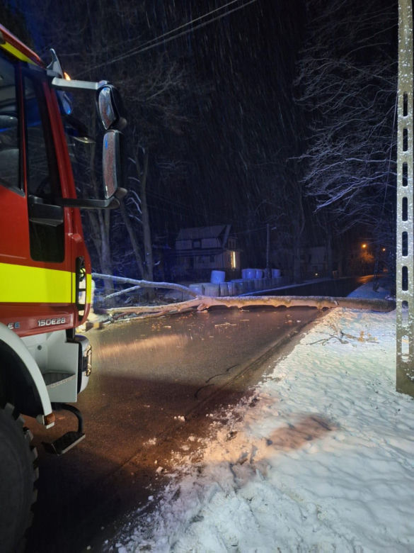 Śnieg przewrócił drzewo i zerwał linię energetyczną