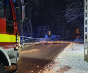 Śnieg przewrócił drzewo i zerwał linię energetyczną