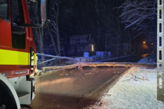 Śnieg przewrócił drzewo i zerwał linię energetyczną