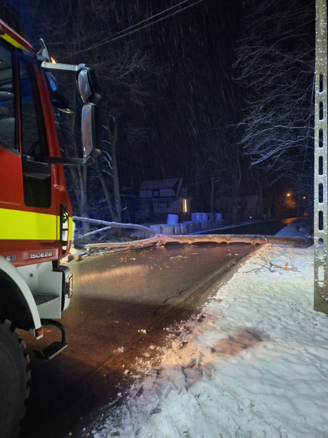 Śnieg przewrócił drzewo i zerwał linię energetyczną