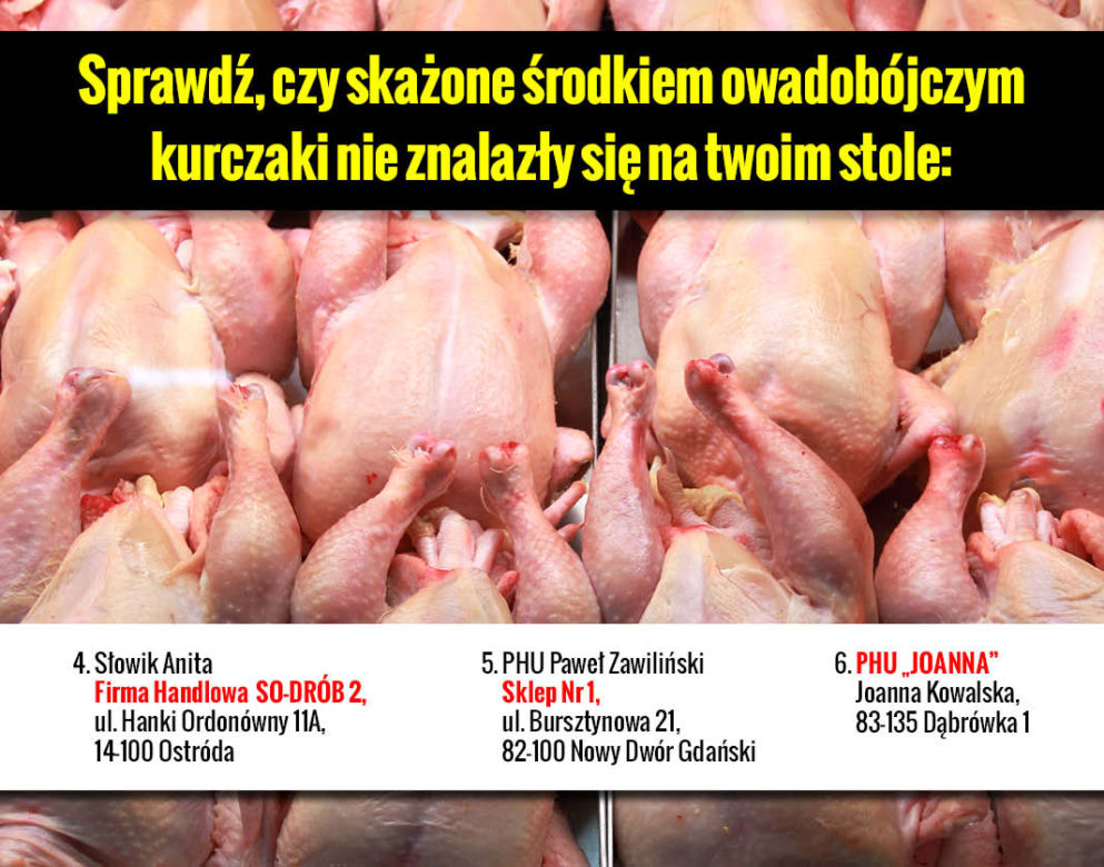 Galeria Skażone kurczaki adresy 2