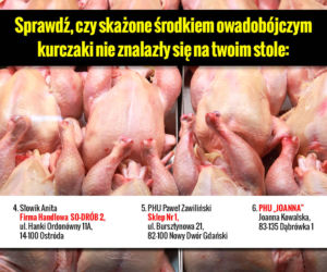Galeria Skażone kurczaki adresy 2