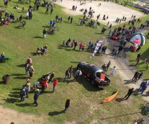 Wrocławski Tor Wyścigów Konnych Partynice