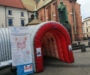 Wielkie jelito grube w centrum Krakowa