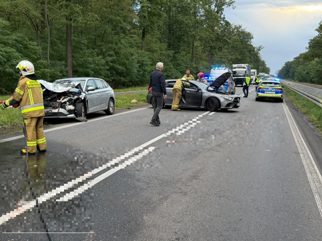 Dwie kolizje na DK12 koło Kąkolewa. Zwierzę wbiegło na drogę