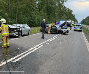 Dwie kolizje na DK12 koło Kąkolewa. Zwierzę wbiegło na drogę