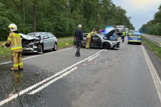 Dwie kolizje na DK12 koło Kąkolewa. Zwierzę wbiegło na drogę