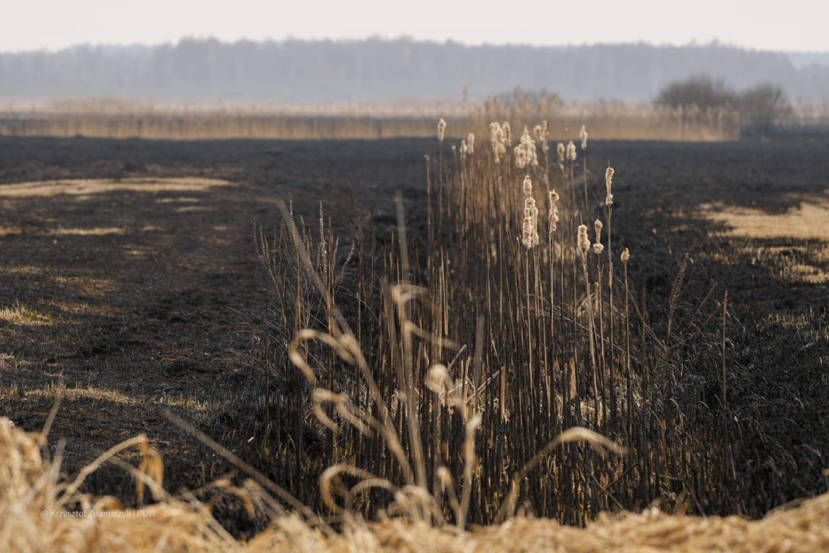Akcja gaśnicza w Biebrzańskim Parku Narodowym