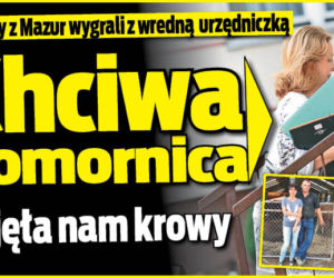 Chciwa komornica zajęła nam krowy