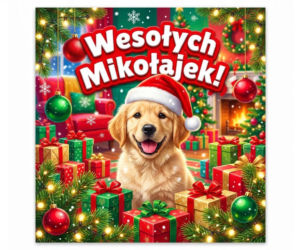 Kartka z życzeniami na Mikołaja