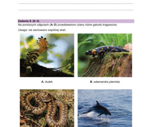 Matura próbna 2026 - biologia. Wszystkie odpowiedzi do arkusza CKE z biologii 14.01.2026