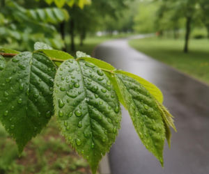 Pogoda na weekend w Katowicach 17-19 kwietnia. Ponad 18 stopni na termometrach 