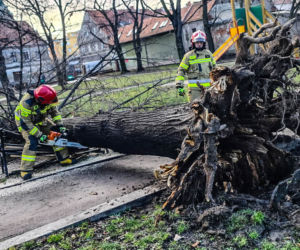 Wichura na Dolnym Śląsku. Uszkodzone dachy, powalone drzewa. Ponad 300 interwencji straży