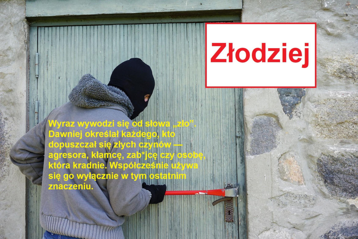 Język żyje — zmienia go historia, migracje, zapożyczenia z innych języków, a nawet technologia