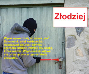 Język żyje — zmienia go historia, migracje, zapożyczenia z innych języków, a nawet technologia