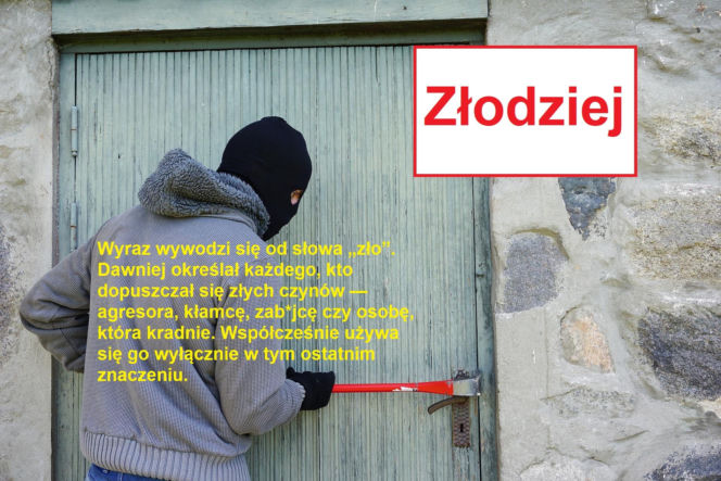 Język żyje — zmienia go historia, migracje, zapożyczenia z innych języków, a nawet technologia