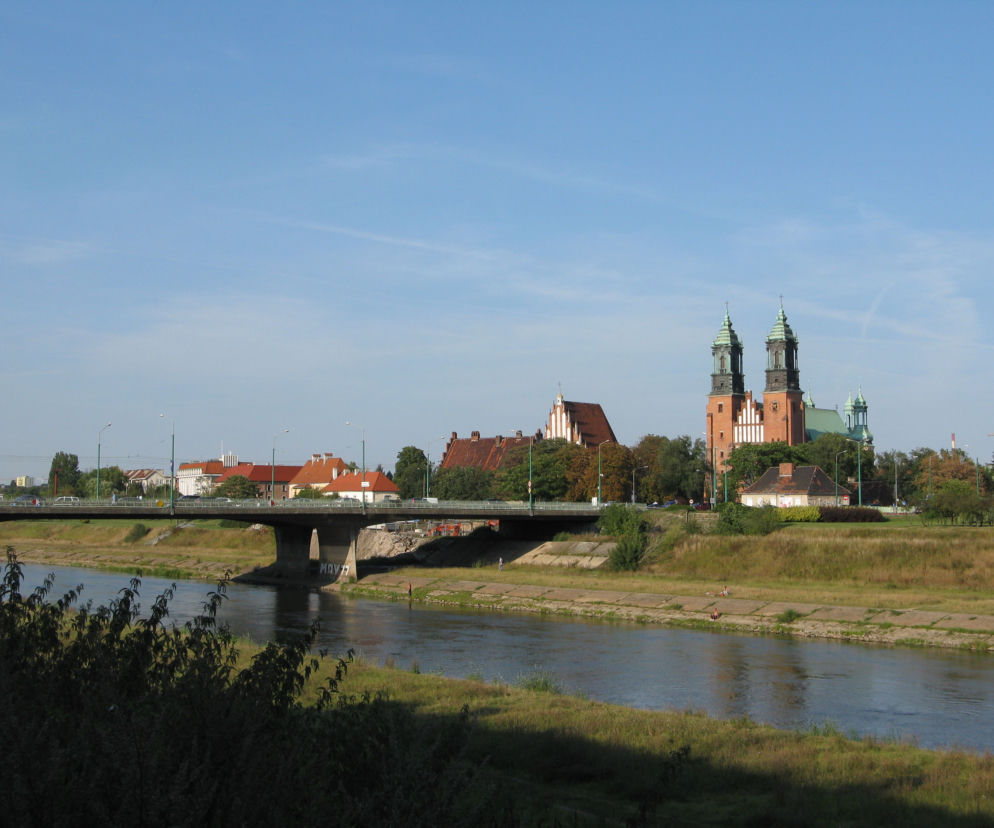 Pierwsze sadzonki winorośli pojawiły się nad brzegiem Warty