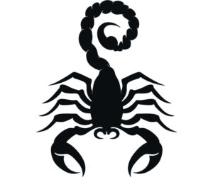 Mantra na szczęście dla znaków zodiaku