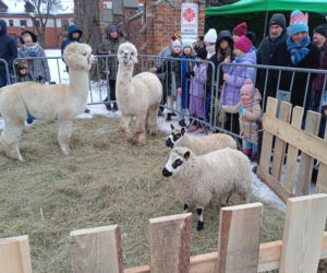 Siedlce: Orszak Trzech Króli 2026