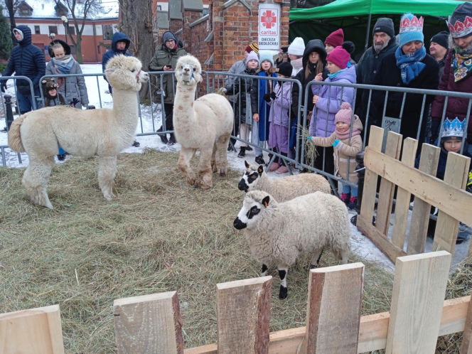 Siedlce: Orszak Trzech Króli 2026