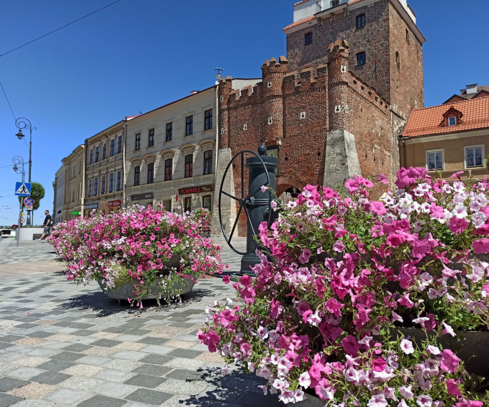 Ulice Lublina znowu ozdobią kwiaty. Miasto szuka wykonawcy